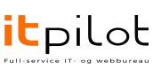 IT Pilot