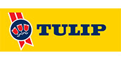 Tulip